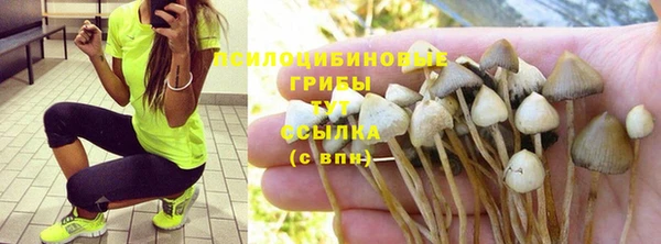 марихуана Аркадак